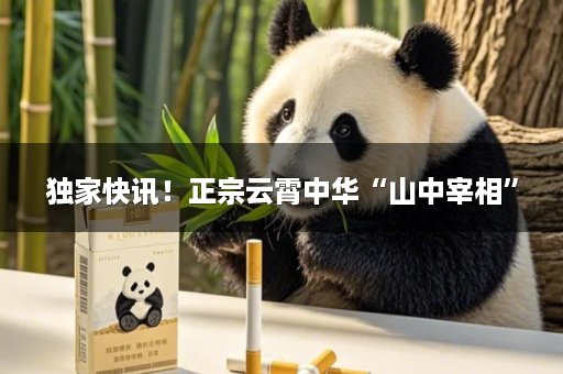 独家快讯！正宗云霄中华“山中宰相”